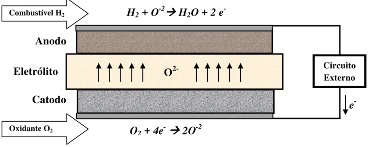 Fig. 1 Diagrama esquemático do funcionamento de uma CCOS. 