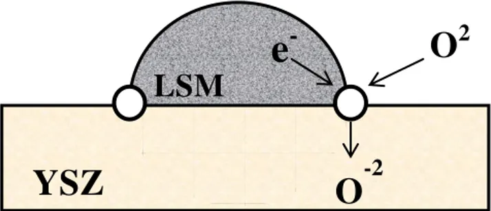 Fig. 3  Esquema do funcionamento do CTF para o LSM/YSZ (circunferência branca indica o  contorno onde ocorrem as reações de redução)