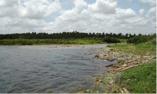 Figura 7 – Assoreamento na lagoa do Catolé situada no município de Rio do Fogo/RN
