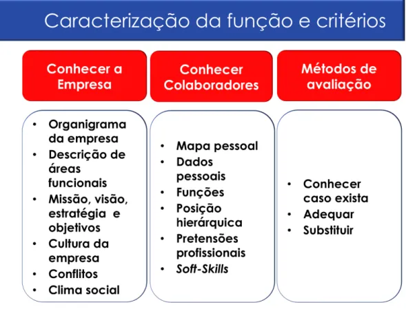 Figura 1 – Caracterização da função e critérios  Fonte própria 