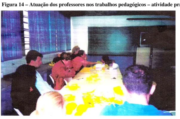 Figura 14 – Atuação dos professores nos trabalhos pedagógicos – atividade prática 