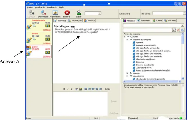 Figura 10: Tela inicial do atendimento chat para o técnico de seguros. (Fonte Unidade de Atendimento chat,  2011) 