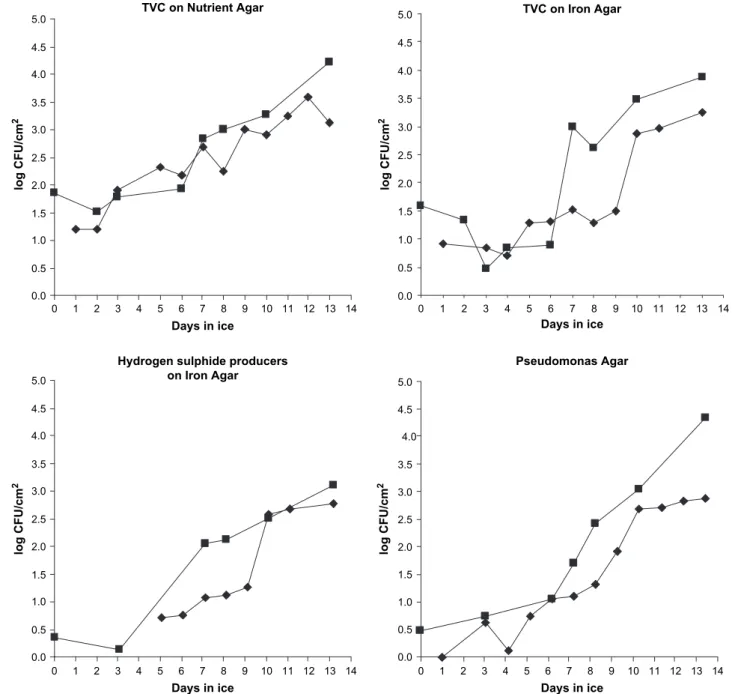 Fig. 2. Microbial results of iced cuttlefish Sepia officinalis ( A ) and broadtail shortfin squid Illex illecebrosus ( - ) using total viable counts on Nutrient agar and iron agar, counts of H 2 S-producers on iron agar and counts of Pseudomonas on Pseudom