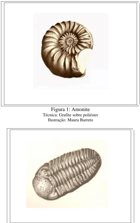 Figura 2: Trilobite 