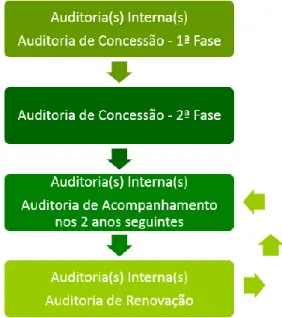 Figura 5 - Sequência de Auditorias  (Português, s/d) 