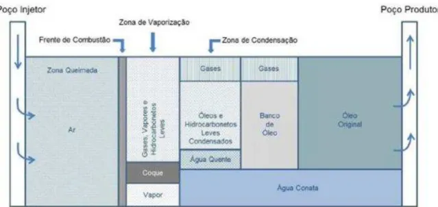 Figura 2.2:Representação das zonas formada durante o processo de combustão in-situ. 