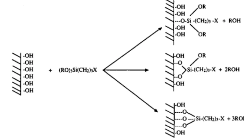 Figura  1:  Diversas  maneiras  de  como  o  organossilano,  de  forma  geral  {X- {X-[(CH 2 ) 3 ]}Si(OR) 3 , podem reagir com os grupos hidroxila presente na superfície