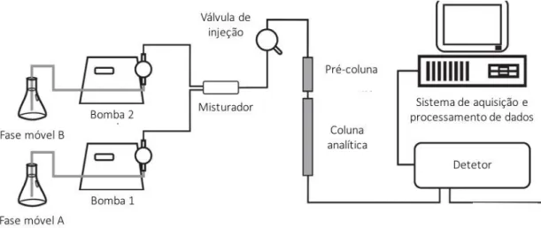 Figura 4 - Esquema de um Cromatógrafo Liquido de Alta Eficiência [54]