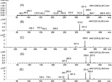 Fig. 10. Tandem MS of MAG in simple lipids (NL) fraction from maize ﬂour (M) free lipids (FL) extract (M-FL-NL) (recorded in auto-MS 2 mode and using an elution program similar to that in Table 2, except that the ﬂow rate was 0.15 mL/min in the time frame 