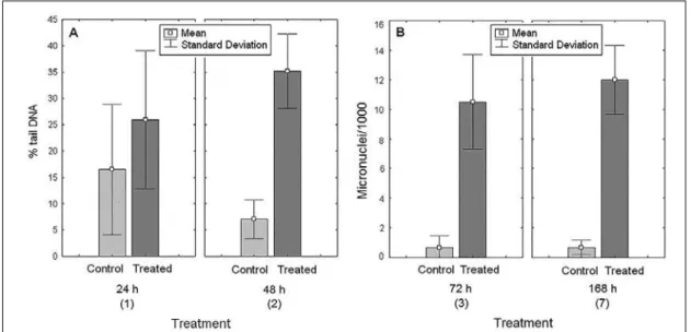 Figure 2 - DNA and chromosome damage observed in the zebrafish Danio rerio after exposed to control and estuarine  waters