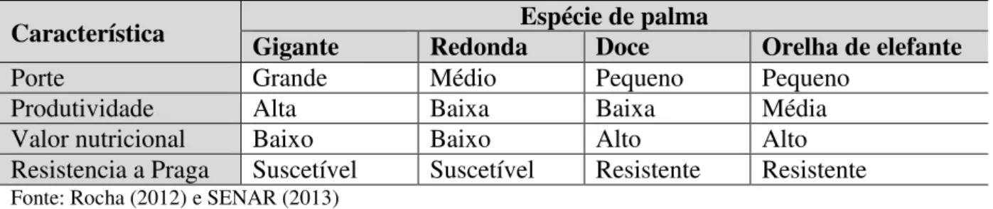 Tabela 2- Característica de subespécies de palma 