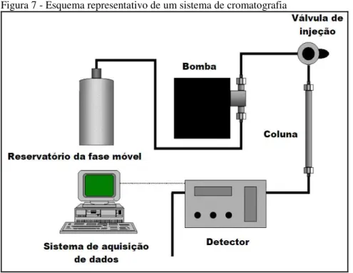 Figura 7 - Esquema representativo de um sistema de cromatografia
