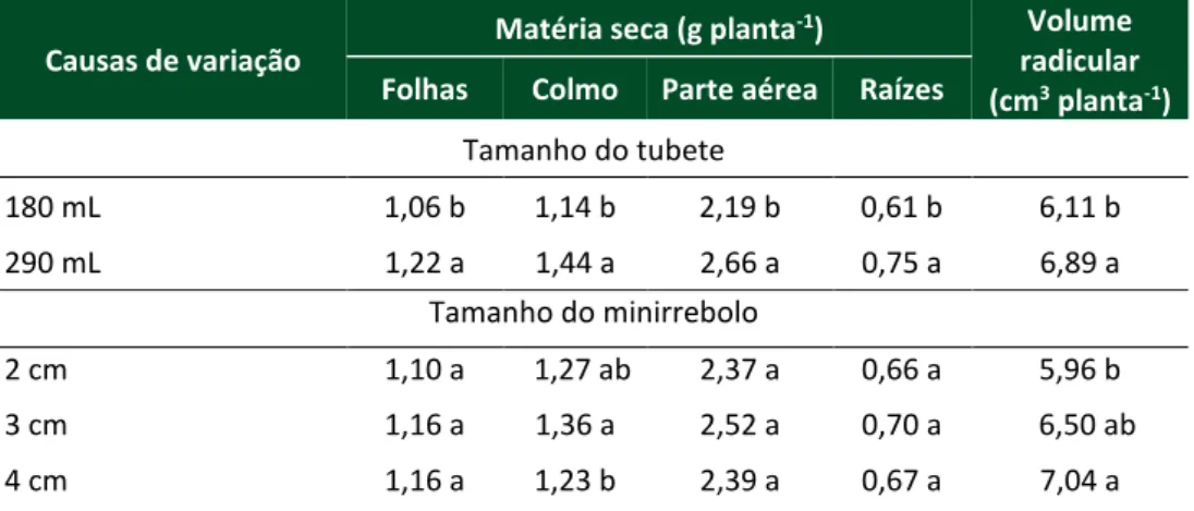 Tabela 4 – Efeito do tamanho do tubete e do tamanho dos minirrebolos  na produção de  matéria seca das folhas, do colmo, da parte aérea, das raízes e no volume radicular das  plantas de cana-de-açúcar (Saccharum spp., var