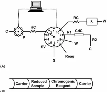 Figure 1. (A) Sequential injection analysis (SIA) manifold used in the determination of nitrate in vegetable extracts: S, sample or standard; C, carrier; Reag, chromogenic reagent; W, waste; P, peristaltic pump; SV, 10-port selection valve; HC, holding coi