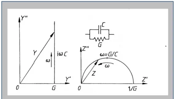 Figura 3.6: a) Relação da admitância com a b) impedância no plano  complexo, circuito em  paralelo