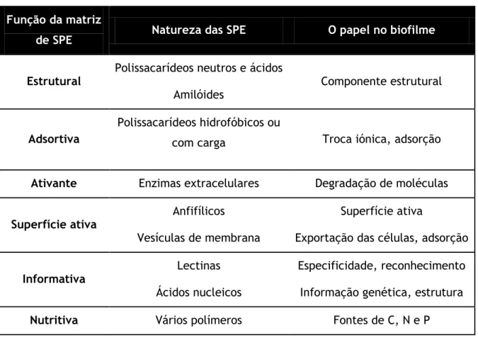 Tabela 2-1 – Propriedades e funções das substâncias poliméricas extracelulares. 