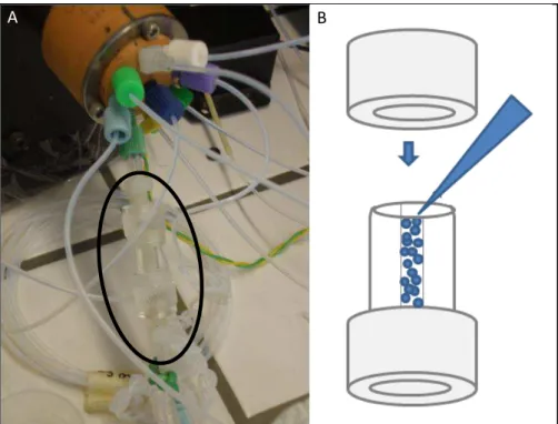 Figure 2.3. Photography (A) and schematic representation (B) of the acrylic column used for bead packing.