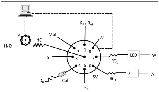 Figure 2.4. Sequential injection manifold for the spectrophotometric determination of alkaline phosphatase activity  and  phosphate:  P,  peristaltic  pump;  SV,  eight-port  selection  valve;  HC,  4.25  m  holding  coil;  S,  sample  or  standard; Col., 