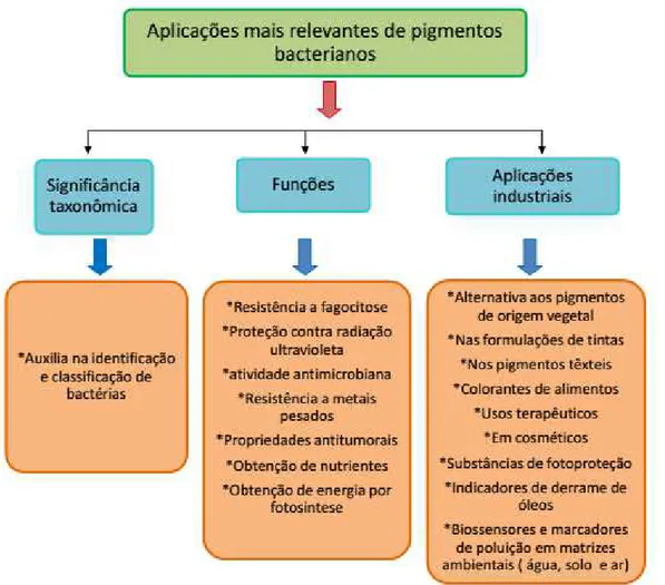 Figura 1. Aspectos sobre os pigmentos bacterianos. Venil et al. (2014) adaptado. 