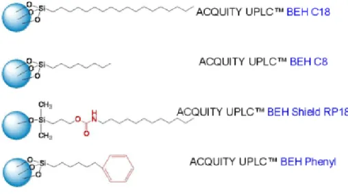 Figura 5 - Exemplos da estrutura do material de enchimento das colunas cromatográficas ACQUITY UPLC  BEH C18 e C8, BEH Shield RP18 e BEH Phenyl 
