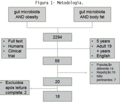 Figura 1- Metodologia. 