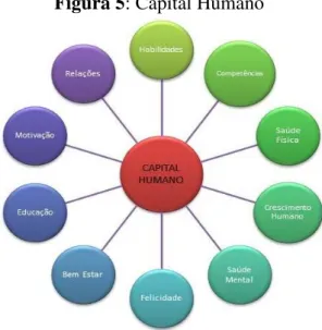 Figura 5: Capital Humano 