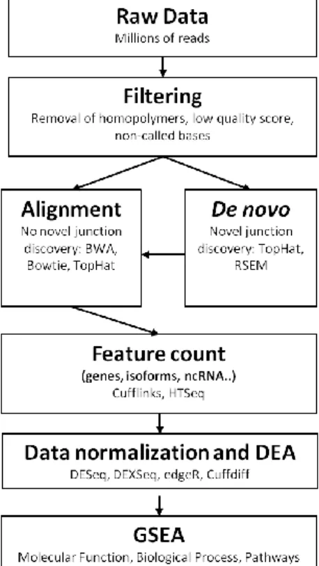 Figure 2 – A typical analysis pipeline for NGS data. 