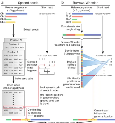 Figure  3  –  Comparison  between  two  different  approaches  for  aligning  short  sequencing  reads  to  a  genome