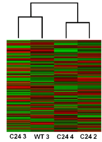 Figure  11  –  Clustering  analysis  of  the  four  libraries  that  passed  the  benchmarking  gene  assessment