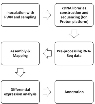 Figure 1 - Representation of workflow applied in this study. 