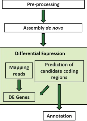 Figure 2 - Example of RNA-Seq data analysis workflow 