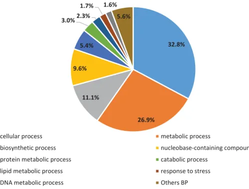 Figure 3 - Gene Ontology analysis of RNA-Seq data. Distribution of biological process subcategories for  all predicted genes 