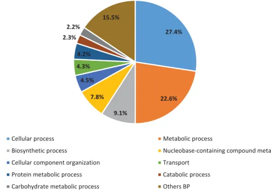Figure 7 - Gene Ontology analysis of RNA-Seq data. Distribution of cellular component subcategories in DEG 