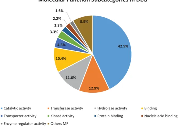 Figure 8 - Gene Ontology analysis of RNA-Seq data. Distribution of molecular function subcategories in DEG 