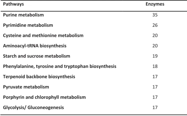 Table 6 – Summary of most representative KEGG pathways detected in predicted genes and in DEG 