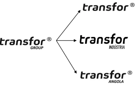 Ilustração 4- Composição do Grupo Transfor