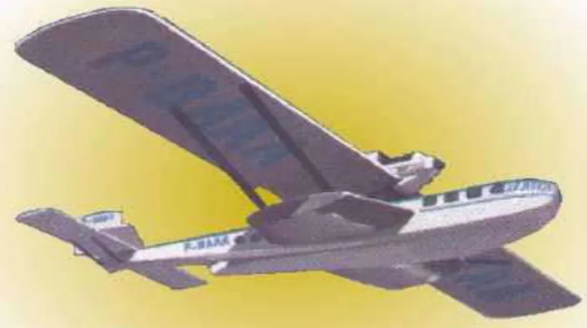 Figura 1 - Atlântico (Dornier Wal), o primeiro avião  Fonte: &lt;www.varig.kit.net&gt;