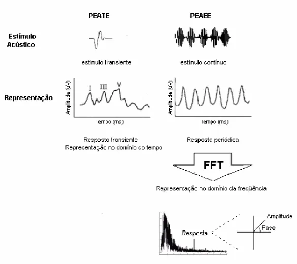 FIGURA 1 - Esquema das diferenças nas formas de estimulação e representação entre os PEATE  e os PEAEE 