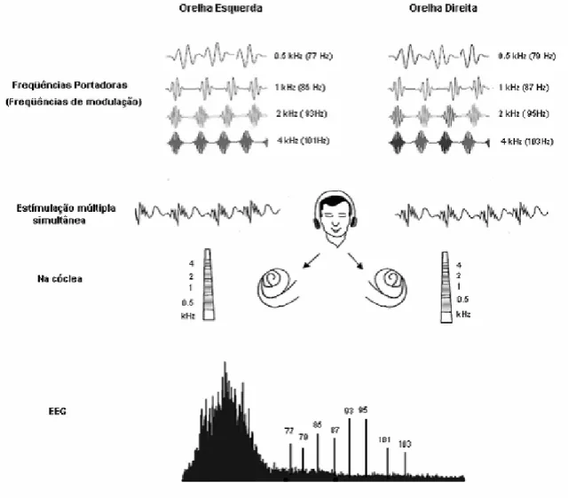 FIGURA 3 - Esquema da técnica dos PEAEE a múltiplas freqüências simultâneas  Fonte: Adaptado de LINS (2002) e LUTS (2005)