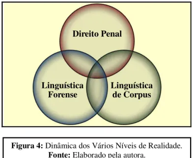Figura 4: Dinâmica dos Vários Níveis de Realidade. 