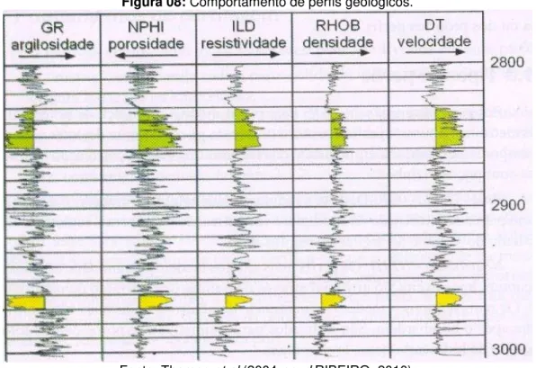 Figura 08: Comportamento de perfis geológicos. 