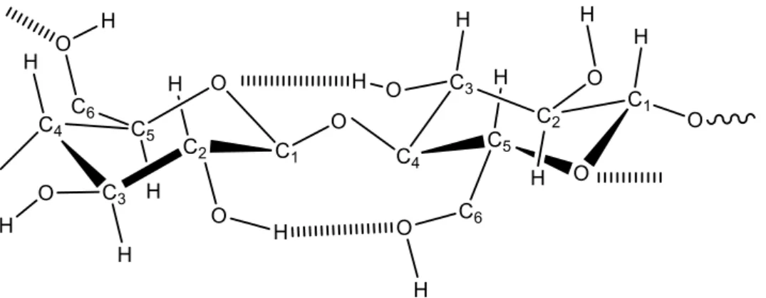 Figura 3: Representação das interações intermoleculares tipo ligação de  hidrogênio  entre  as  moléculas de glicose em uma cadeia da celulose