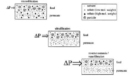 Figura  2  -  Representação  esquemática  dos  processos  de  microfiltração,  ultrafiltração,  nanofiltração  e  osmose inversa (adaptado de Mulder, 2000)