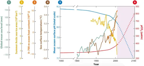 Figure 1.1.1. Ocean-atmosphere carbon dioxide exchange: the ocean’s carbon chemistry in (a) normal atmospheric levels of carbon  dioxide, and (b) elevated levels of atmospheric carbon dioxide