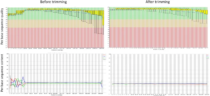 Figure  3.1.  Example  of  the  quality  parameters  of  a  representative  read  file  before  and  after  trimming  measures in FastQC software 