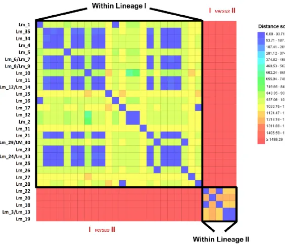Figure  3.6.  A  distance  matrix  cgMLST-based  analysis  of  35  Listeria  monocytogenes  human  isolates