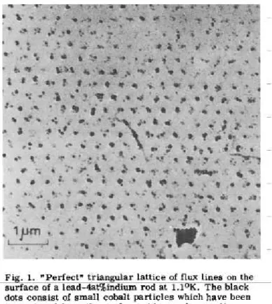 Figura 12: Primeira observa¸c˜ao dos v´ortices de Abrikosov em redes triˆangulares. ”Per- ”Per-feita”rede triˆangular de linhas de fluxo