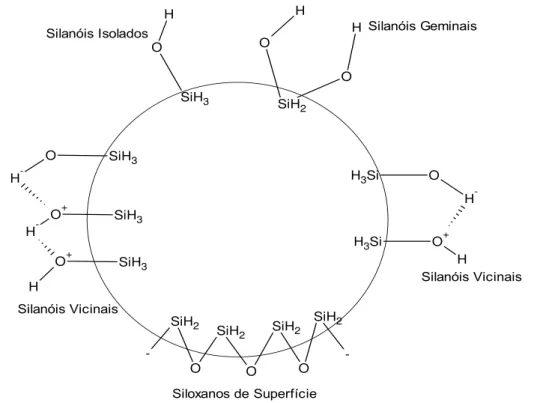 Figura 2.7. Diagrama apresentando possíveis arranjos de grupos silanóis e siloxanos na superfície  da sílica fumegada (Zuravlev, 2000)