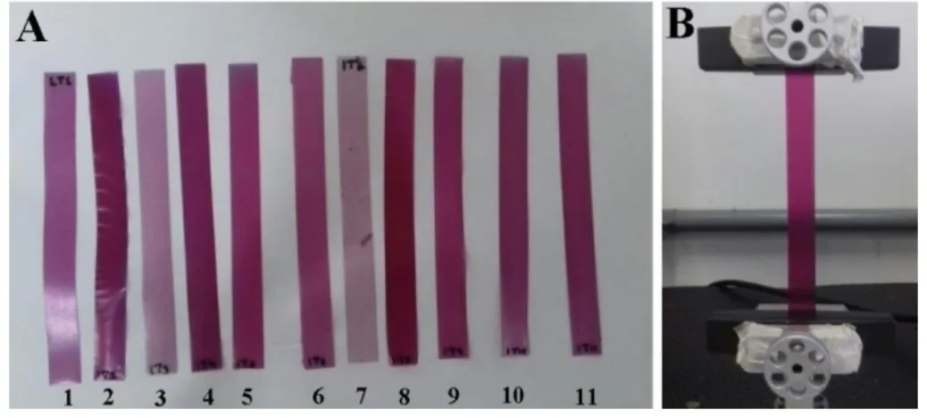 Figura 7 - Filmes do tratamento 1 ao 11 (ver Tabela 1), com dimensões de (12 x 1)cm para o  ensaio mecânico (A) e filme sendo tracionado (B)