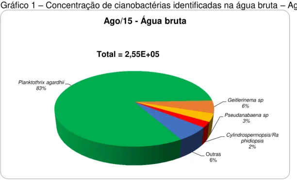 Gráfico 1  –  Concentração de cianobactérias identificadas na água bruta  –  Ago/15 